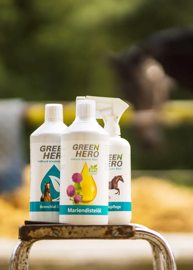 greenhero_pferde_lifestyle_04