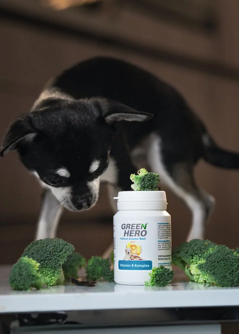 Vitamin B Komplex für Hunde und Katzen Hochdosiert Mineralstoffe 100 Stück