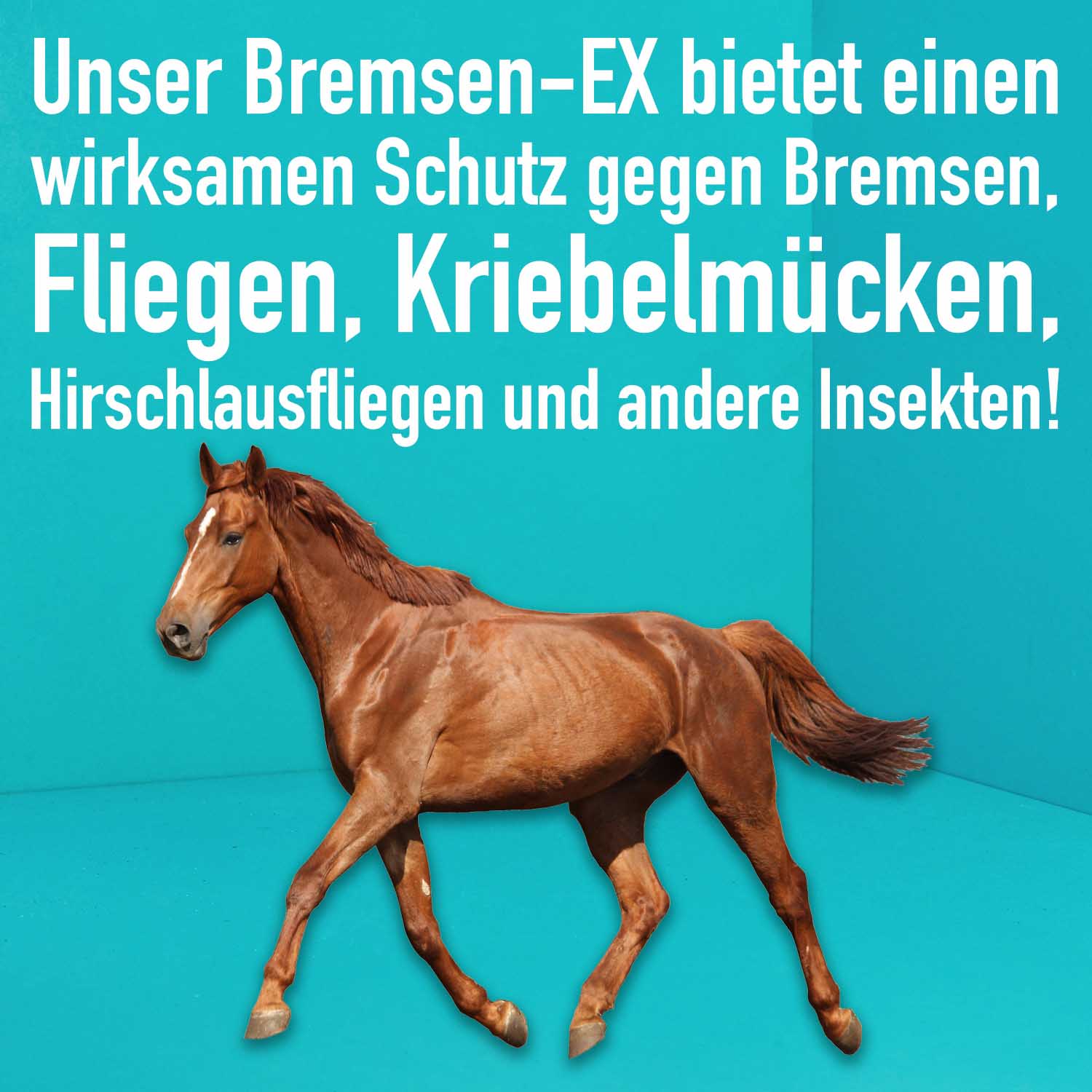 04_Green-Hero_Bremsen-EX_Anwendungsbild