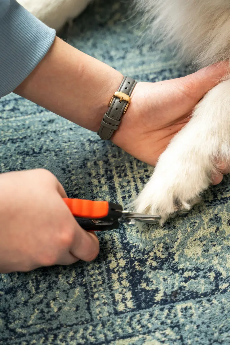 greenhero_krallenschere_anwendung_08