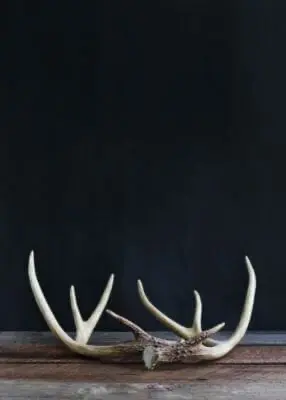 greenhero_kategorien_jagd