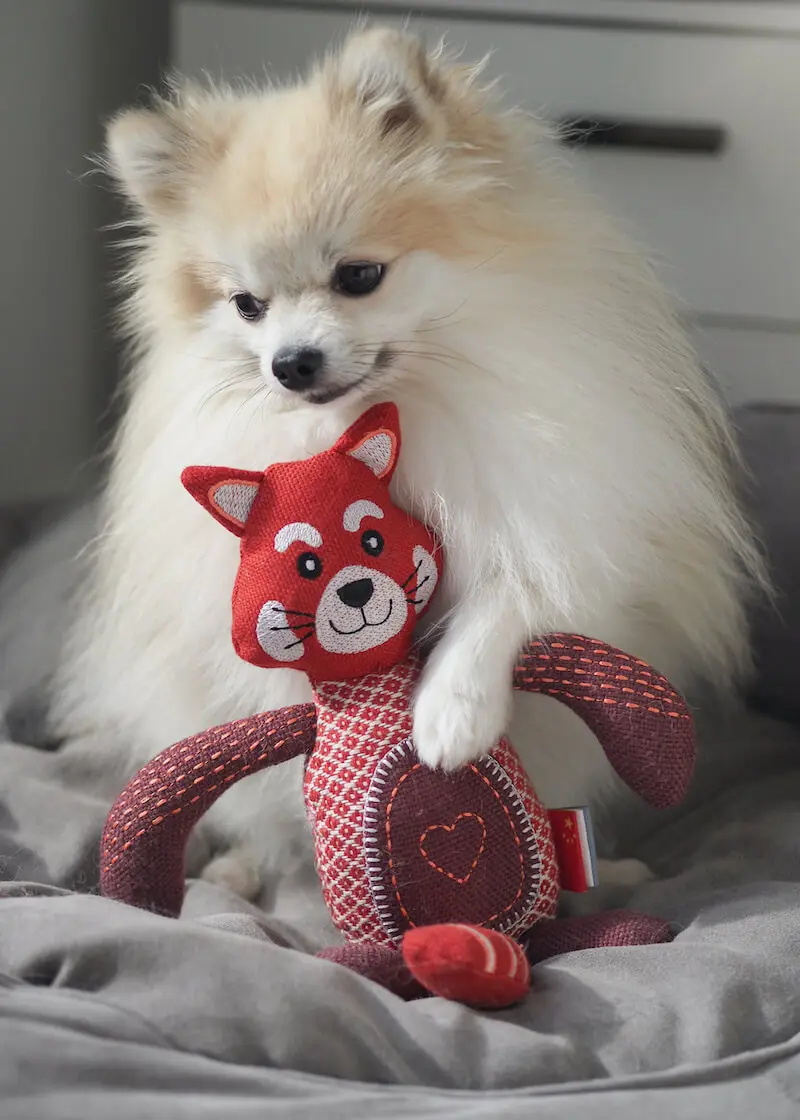 greenhero_hunde_spielzeug_roter_panther_01