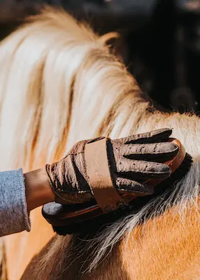 greenhero_pferde_pflege