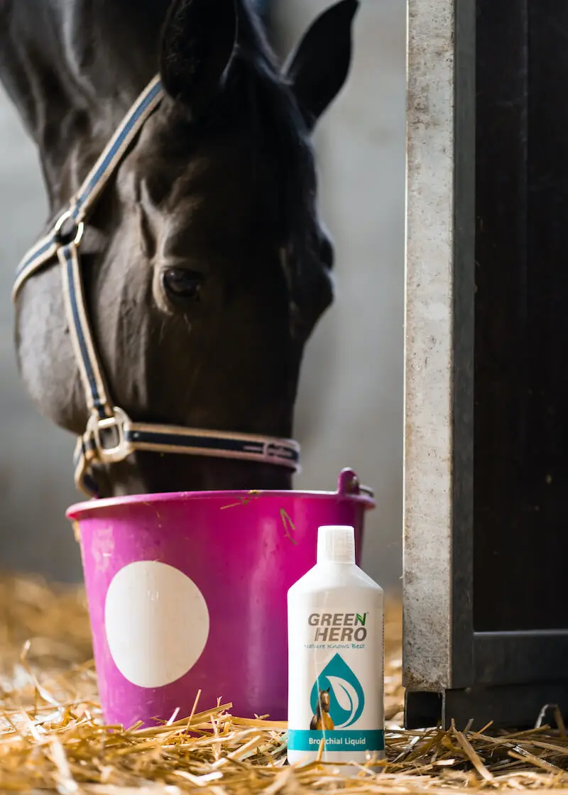 greenhero_bronchial_liquid_lifestyle_04