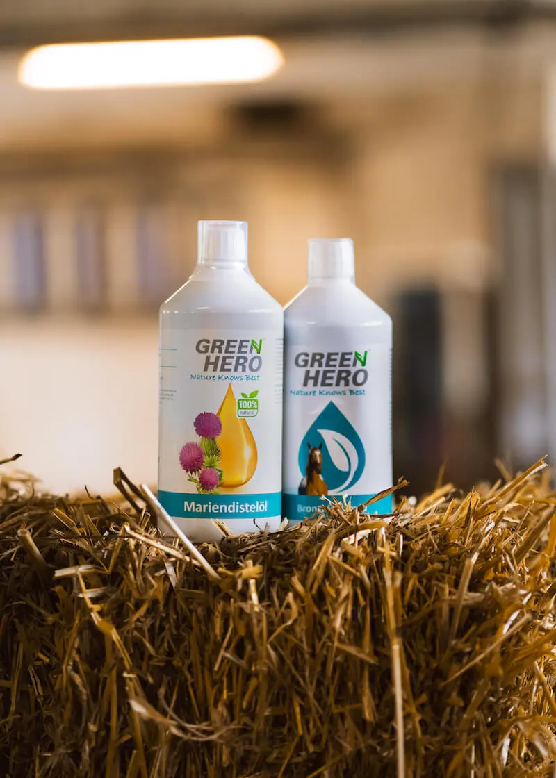 greenhero_pferde_lifestyle_12