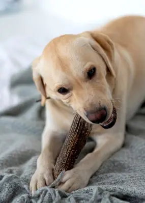 greenhero_kategorien_kaustangen