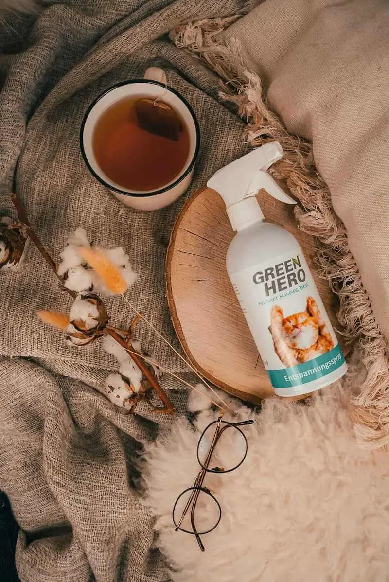 greenhero_entspnnungsspray_katzen_anwendung