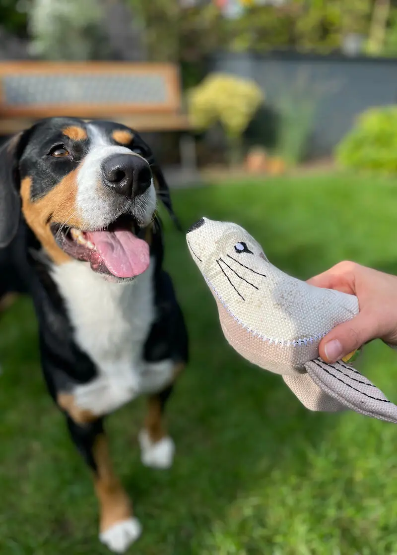 Hundespielzeug Seelöwe