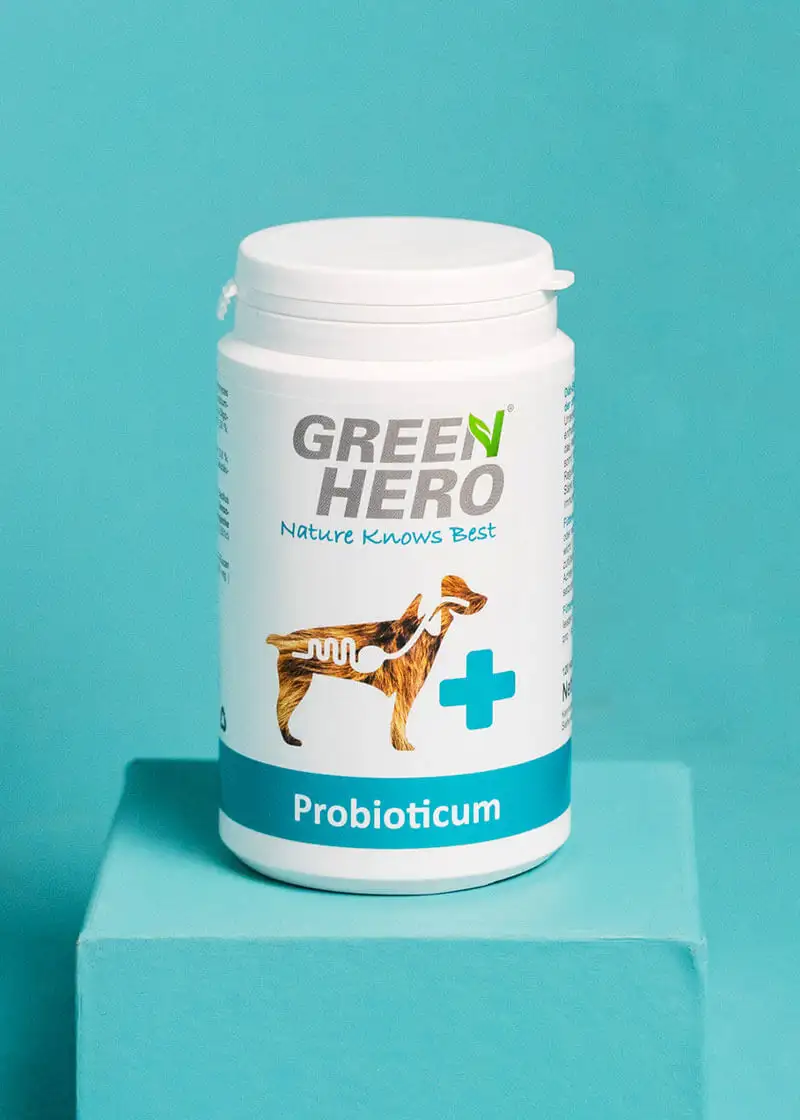 GreenHero® Probioticum für Hunde 120 Tabletten zur Darmsanierung und Darmpflege