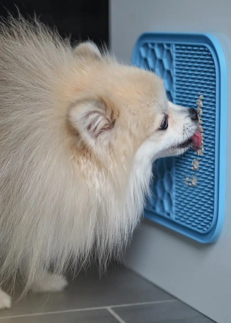 greenhero_hunde_schleckmatte_02Wob0CHdEyGeP8