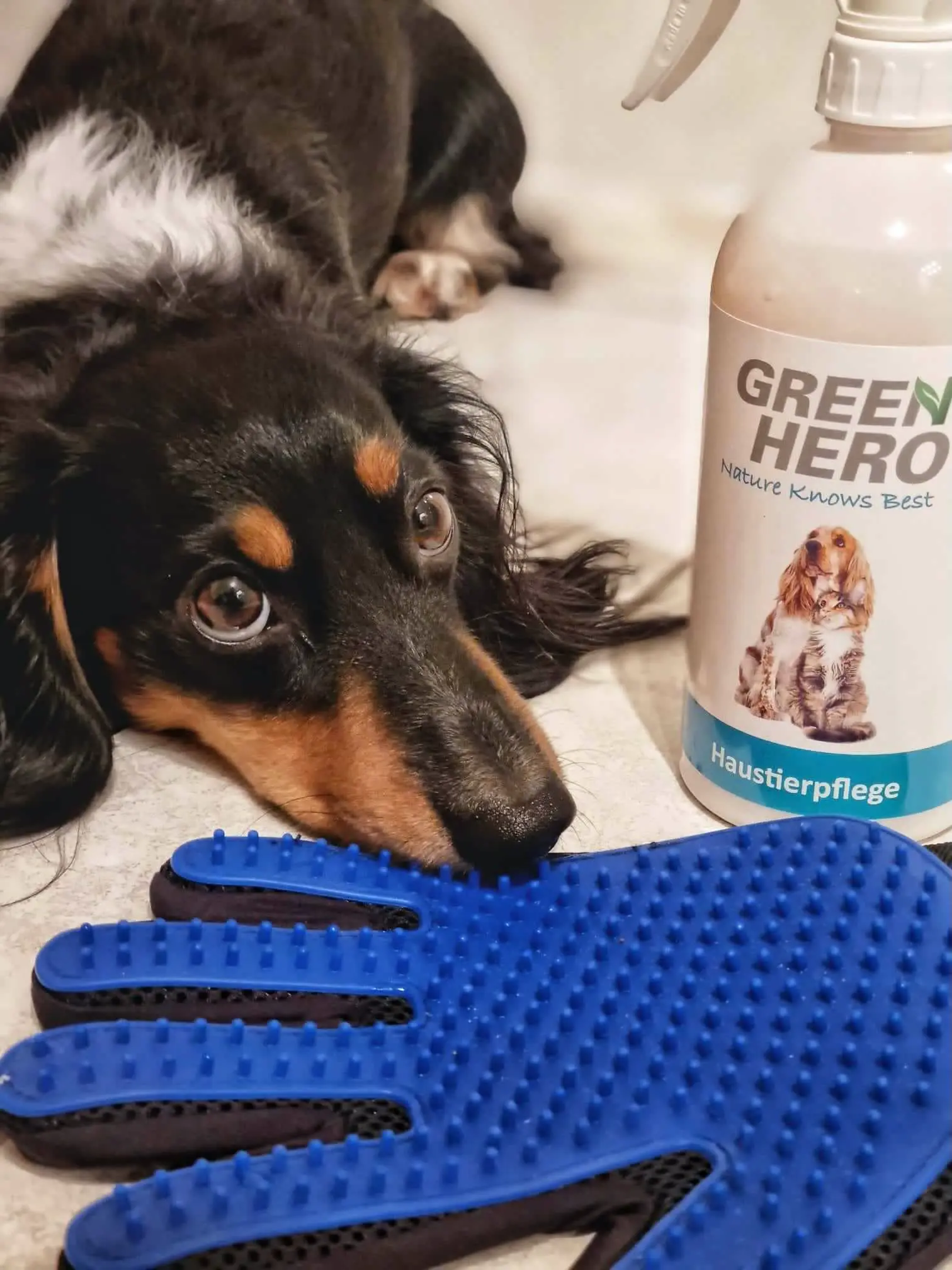 greenhero_anwendung_pflegehandschuh_haustierpflege