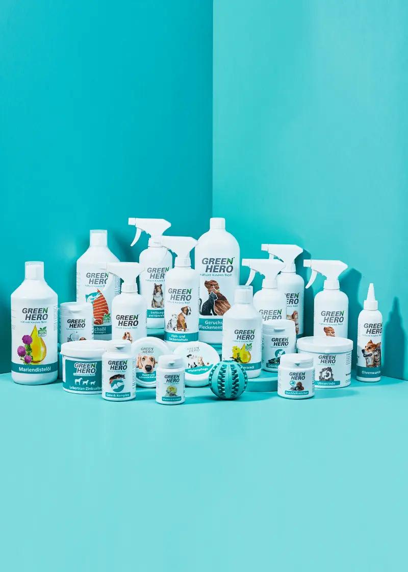 greenhero_gruppe_hunde_katzen