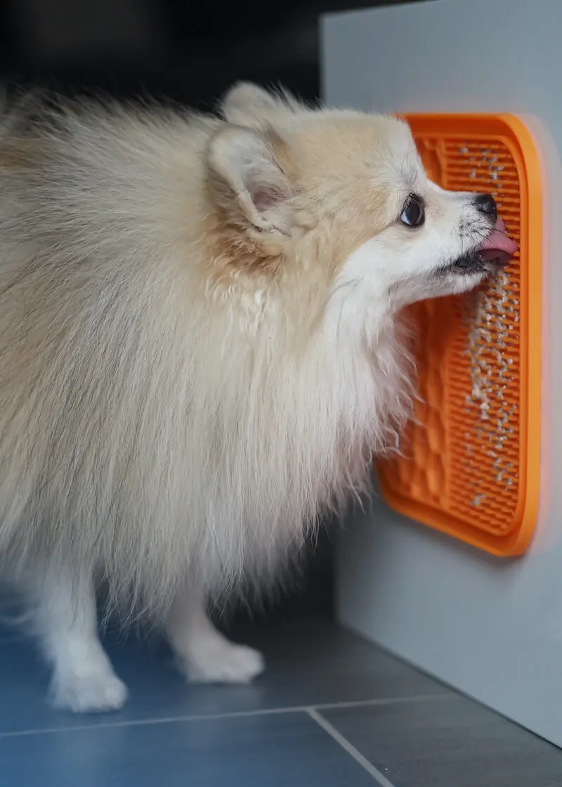 greenhero_hunde_schleckmatte_01SMoX66xDfjliN