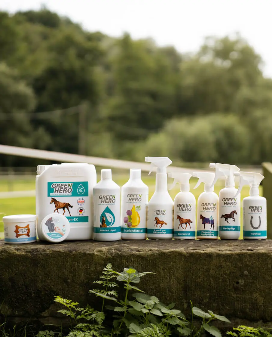 greenhero_pferde_lifestyle_02