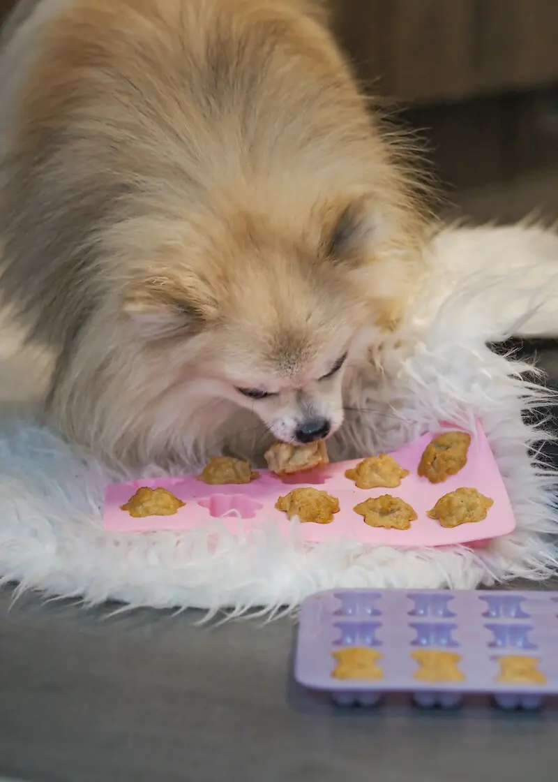 greenhero_backmatten_anwendung_01