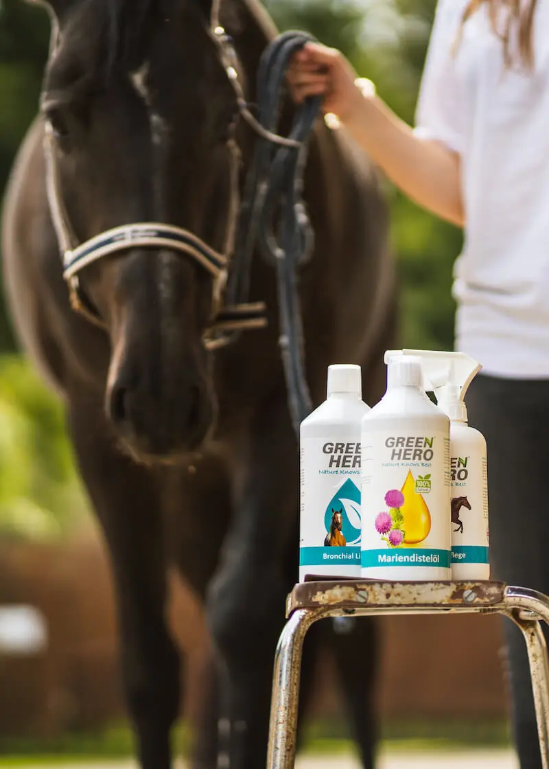Bronchial Liquid für Pferde mit Kräutern