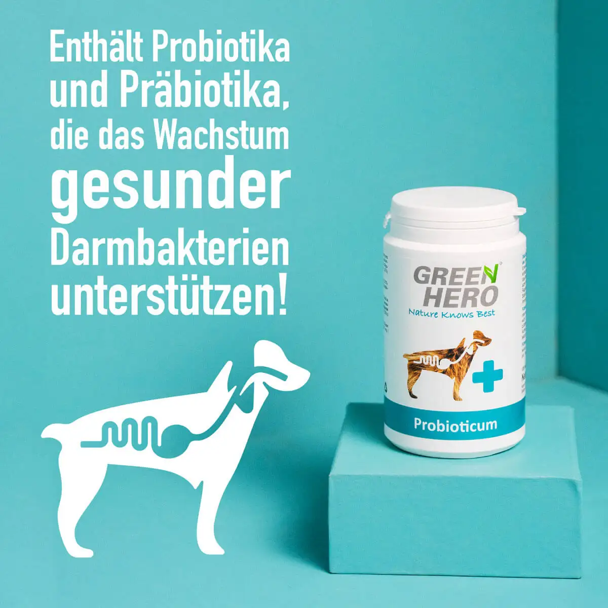 GreenHero® Probioticum für Hunde 120 Tabletten zur Darmsanierung und Darmpflege