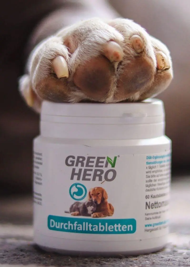 Durchfalltabletten für Hunde und Katzen | 60 Tabletten
