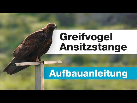 GreenHero Greifvogel Ansitzstange
